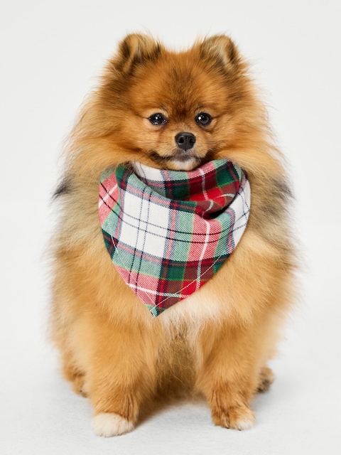 Holiday Bandana for Pets