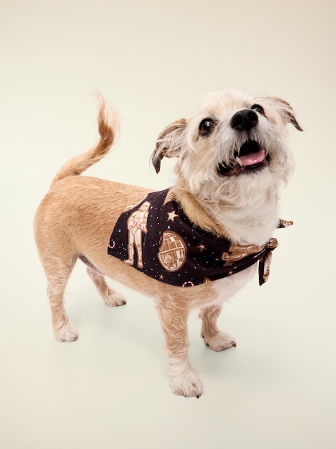 Old Navy x Star Wars™ Bandana for Pets