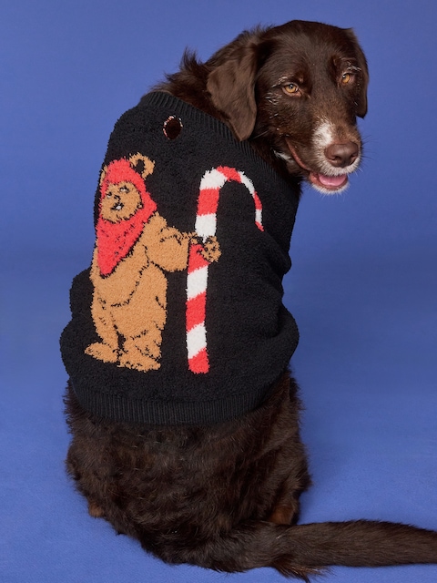 Old Navy x Disney Cozy Sweater for Pets